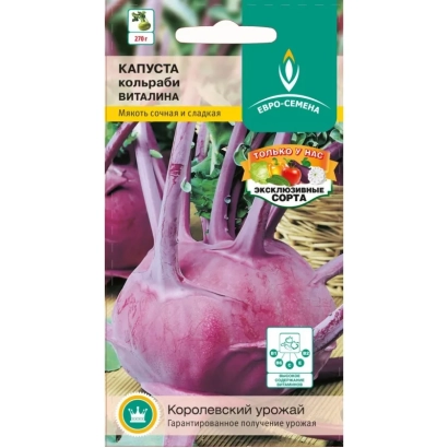 Пакет насіння капусти Віталіна з зображенням фіолетової капусти