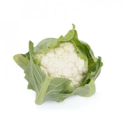 Свежий кочан цветной капусты на белом фоне - Витури
