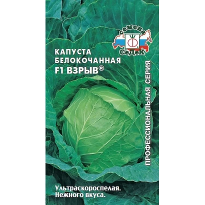 Семена капусты белокочанной F1 Взрыв на зеленом фоне