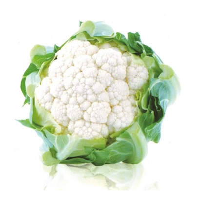 Свежий кочан цветной капусты на белом фоне - Уайт Ексель