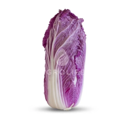 Свіжа капуста Ямада на білому фоні