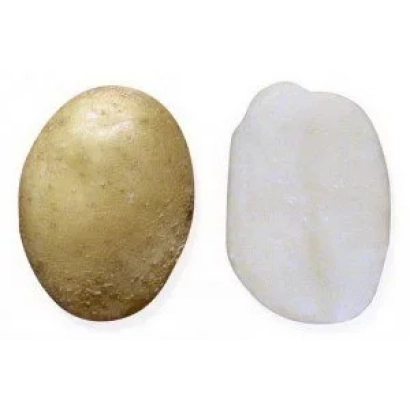 Клубень картоплі АКРОСІЯ і його зріз