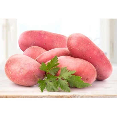 Клубни картофеля сорта Аляска на деревянной доске с веточкой петрушки