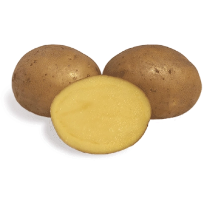 Три картофелины, одна нарезанная пополам, на белом фоне - Аллора