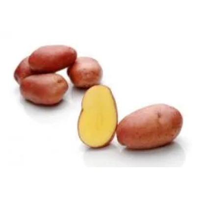 Красные картофелины с разрезанной картофелиной, показывающей желтую мякоть - Ароза