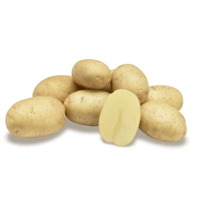 Potato tubers on white background, one cut in half - Artemis