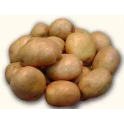 Картофель Белоусовский