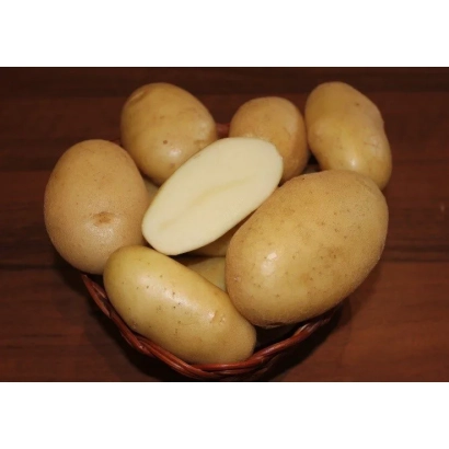 Корзина с картофелем, один клубень разрезан пополам - Болвинский