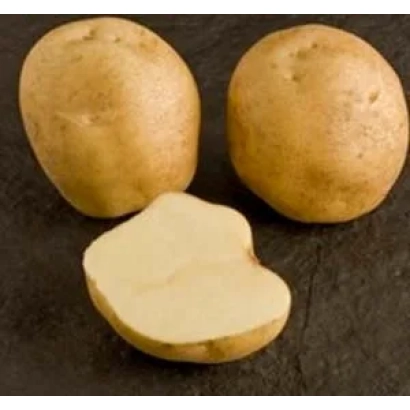 Three whole and one sliced potato on a dark background - Brooke