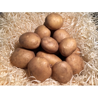 Кучка картоплі на соломі - Чарунка
