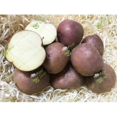 Корені картоплі сорту Червона Рута на соломі