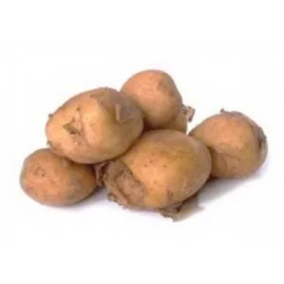 Potatoes on white background - DARKOVICHSKY