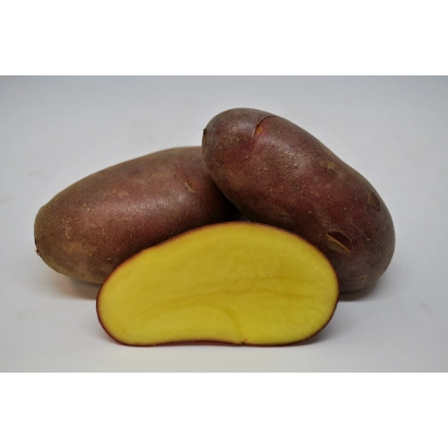 Клубни картофеля сорта Дельфин, один разрезан пополам, на белом фоне - ДЕЛЬФИНЕ
