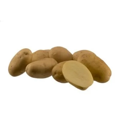 Клубни картофеля сорта ЭКСЕЛЕНС на белом фоне