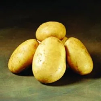 Три картофелины на тёмном фоне - Фольва