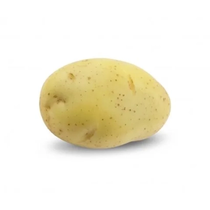 Картофель ГЕРМОЗА | HERMOSA на белом фоне