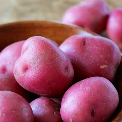 Красные картофельные клубни в деревянной миске - Ильинский