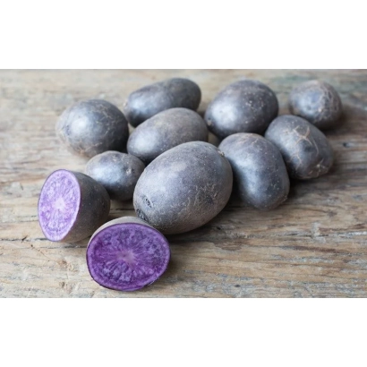 Синие картофелины с разрезанным срезом, показывающим фиолетовую мякоть - Индиго