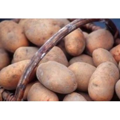 Корзина с картофелем Ипатовский