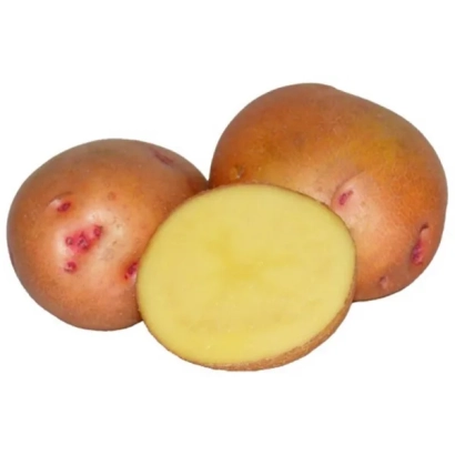 Картофель ИВАНКИВСЬКА РАННЯ — три клубня, один разрезанный пополам, на белом фоне