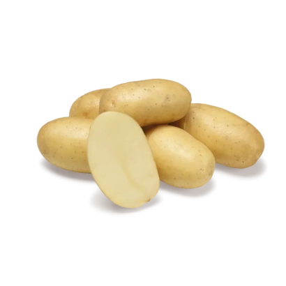 Клубни картофеля на белом фоне - ДЖОЛИН