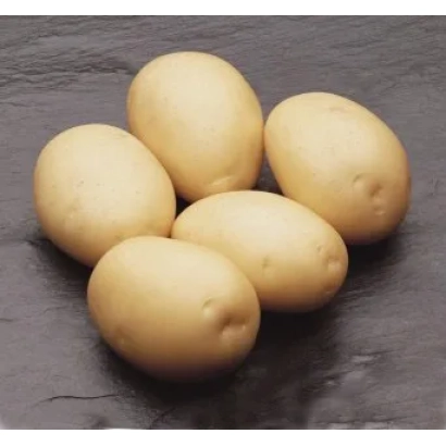 Картофель Каррера на тёмном фоне