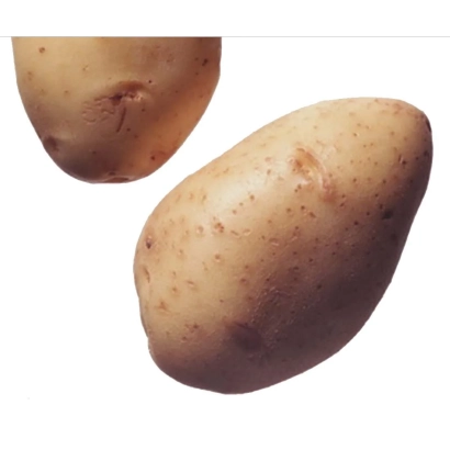 Картофель сорта Красавица