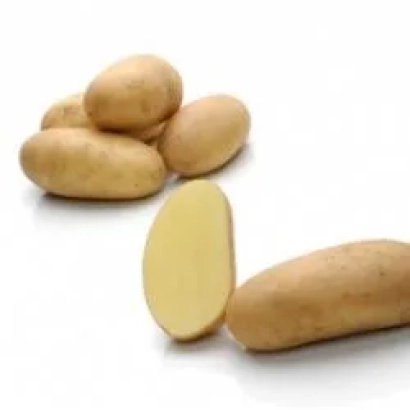 Картофель на белом фоне, один клубень разрезан пополам - Людмила