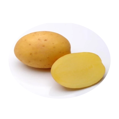 Картофель на белом фоне, целый клубень и разрезанная половина - Мадейра