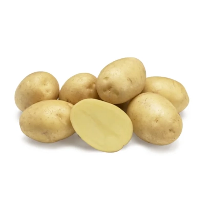 Картофель на белом фоне, один клубень разрезан пополам - МАДЕЛИНЕ