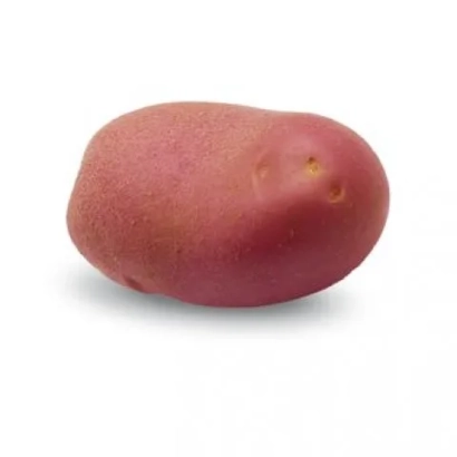 Красный картофель на белом фоне - Мемфис
