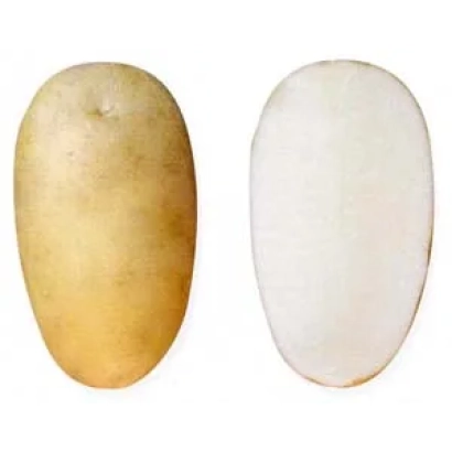 Два образца картофеля: желтый и белый сорт. - Надежда