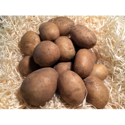 Кучка картоплі на соломі - Нагорода