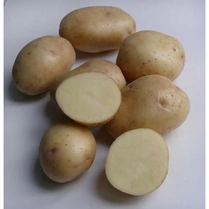 Несколько картофелин, одна разрезана пополам, на белом фоне. - НОКТЮРН