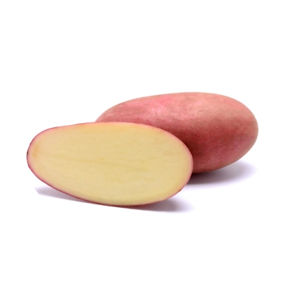 Клубень картофеля сорта Рикарда, целый и разрезанный на белом фоне