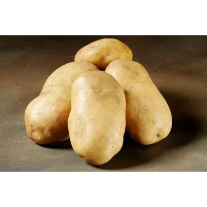 Горка картофеля на темном фоне - РОЯЛ