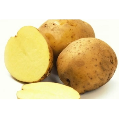Картофель, нарезанный и целый, на белом фоне - Россиянка