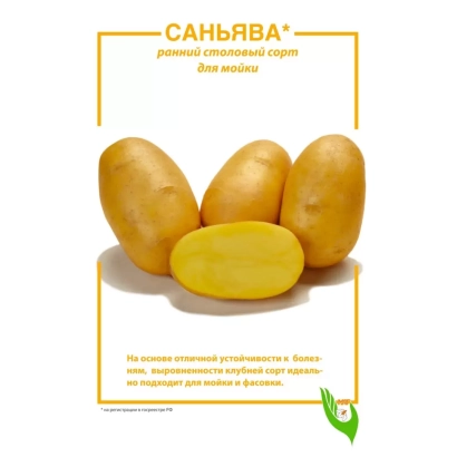 Seed potato variety SAN YAVA on packaging