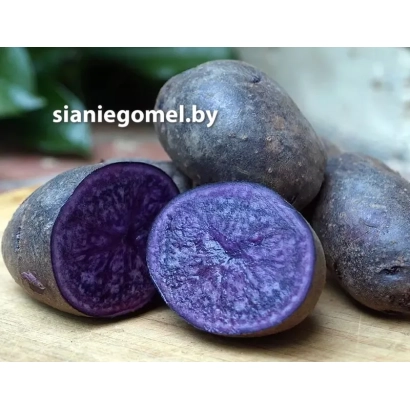 Клубни картофеля сорта Сапфир на деревянной доске, один разрезан пополам, видна фиолетовая мякоть.