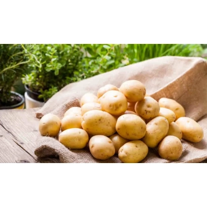 Кучка картоплі на дерев'яній поверхні з зеленню на задньому плані - ТАНАЙ