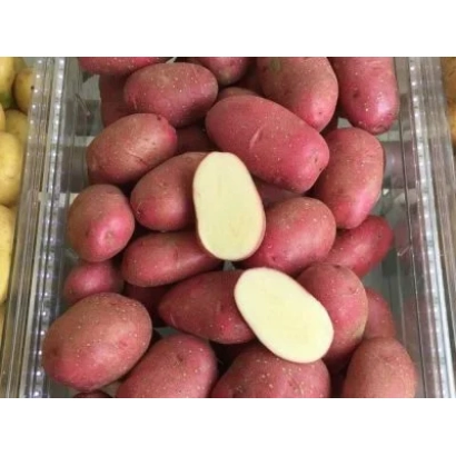 Червоні картоплини з двома розрізними шматочками, що демонструють внутрішню текстуру. - Торнадо