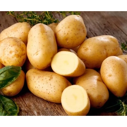 Картофель на деревянной поверхности с зелеными листьями - УРАЛЬСКИЙ РАННИЙ
