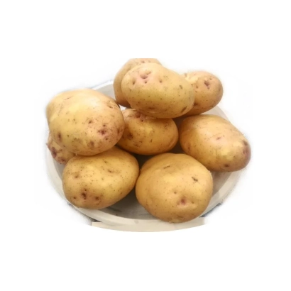 Клубни картофеля сорта Утро в белой миске