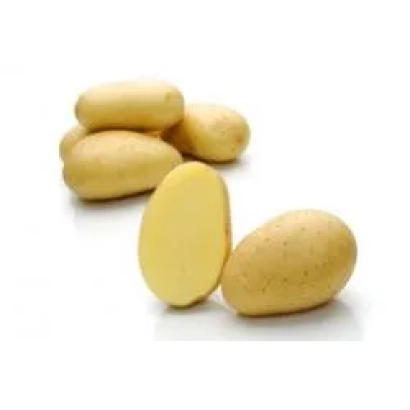 Картофель на белом фоне - Велокс