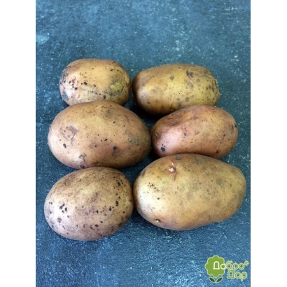 Картопля на синьому фоні - Вимір