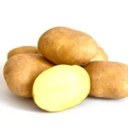 Kamchatka Pearl Potato