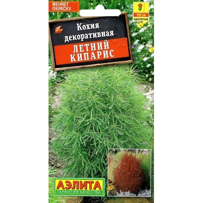 Пакет насіння кохії декоративної ЕЛІСТА