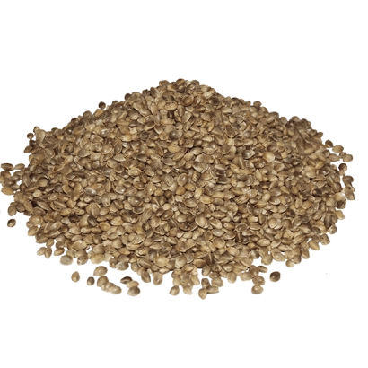 Горсть семян конопли на белом фоне - Глесия