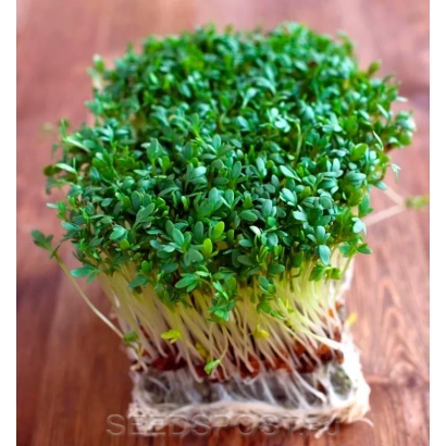 Кресс на деревянной подложке - Данский