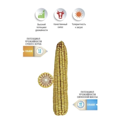 Кукурудза 312 5 НСД з іконками властивостей